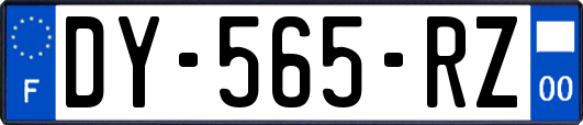 DY-565-RZ