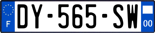 DY-565-SW