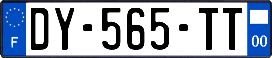 DY-565-TT