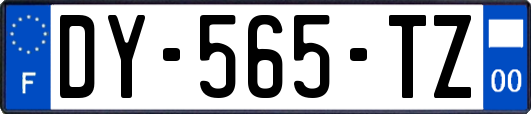 DY-565-TZ