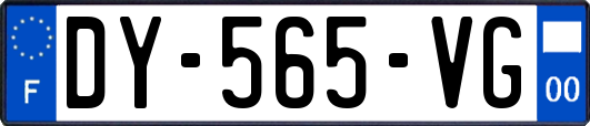 DY-565-VG