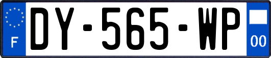 DY-565-WP