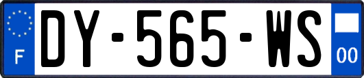 DY-565-WS