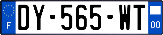 DY-565-WT