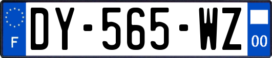 DY-565-WZ