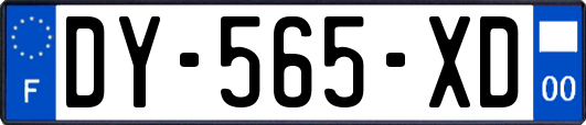 DY-565-XD