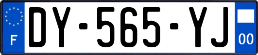 DY-565-YJ