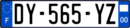 DY-565-YZ