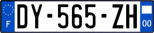 DY-565-ZH