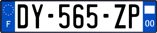 DY-565-ZP