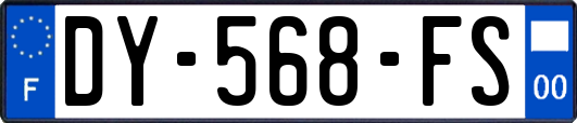 DY-568-FS