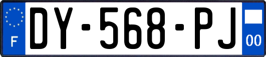 DY-568-PJ