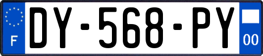 DY-568-PY