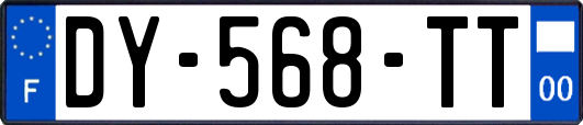 DY-568-TT