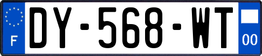 DY-568-WT