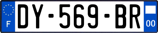 DY-569-BR