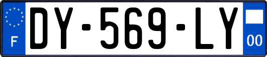 DY-569-LY