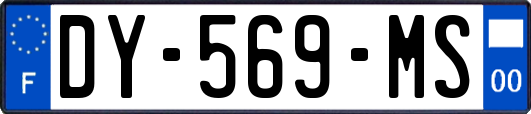 DY-569-MS