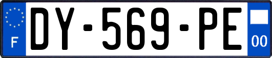 DY-569-PE