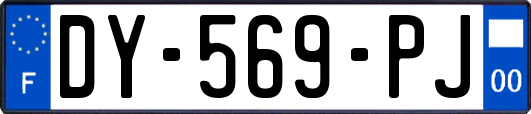 DY-569-PJ