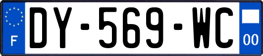 DY-569-WC