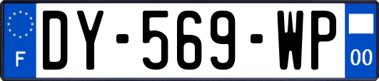 DY-569-WP