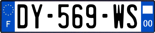 DY-569-WS