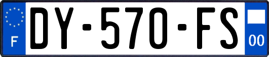 DY-570-FS