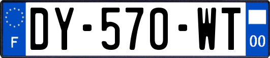 DY-570-WT