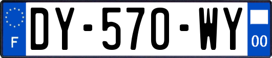 DY-570-WY