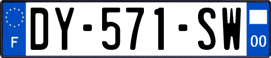 DY-571-SW