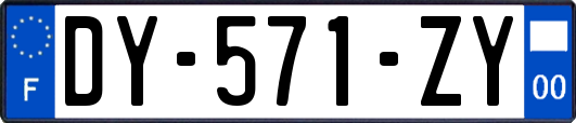 DY-571-ZY