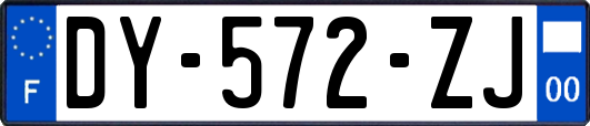 DY-572-ZJ