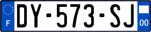 DY-573-SJ