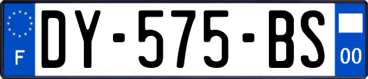 DY-575-BS