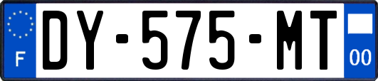 DY-575-MT