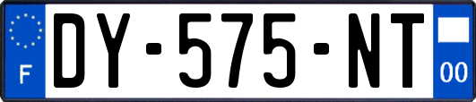 DY-575-NT