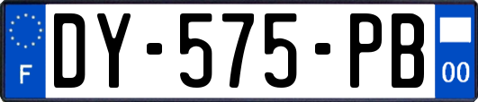 DY-575-PB