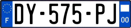 DY-575-PJ