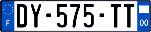 DY-575-TT