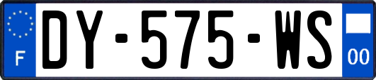 DY-575-WS