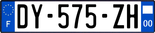 DY-575-ZH