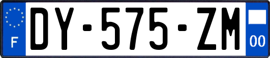 DY-575-ZM