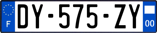 DY-575-ZY