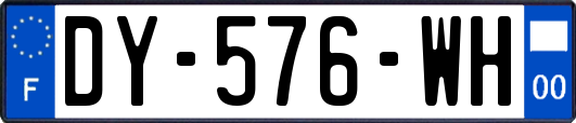 DY-576-WH