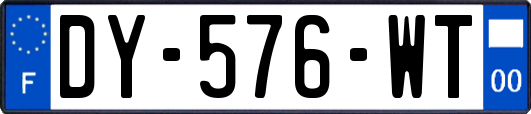 DY-576-WT