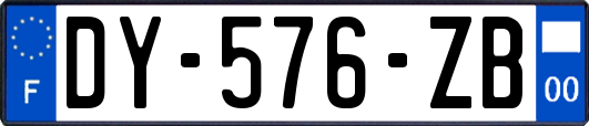 DY-576-ZB