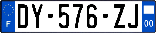 DY-576-ZJ