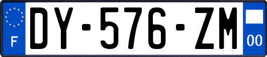 DY-576-ZM