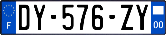 DY-576-ZY